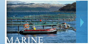 Marine Power Washing and Cleaning Services Inverness, Highlands and Skye